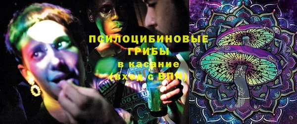 ПСИЛОЦИБИНОВЫЕ ГРИБЫ Богородск
