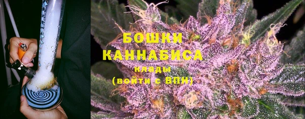 хмурый Белокуриха