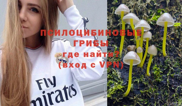 трава Богданович