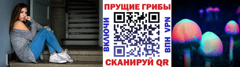 купить мега как войти Галлюциногенные грибы прущие грибы Белоусово